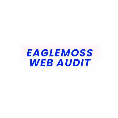 Eaglemoss Web Audit